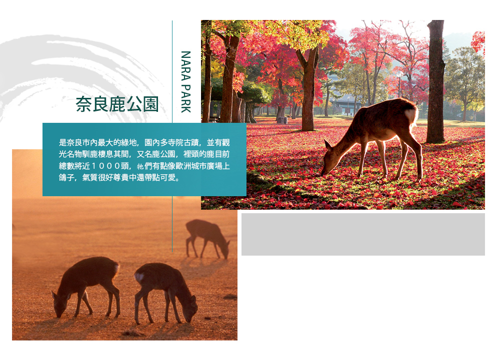 漫遊京都•和服體驗5日