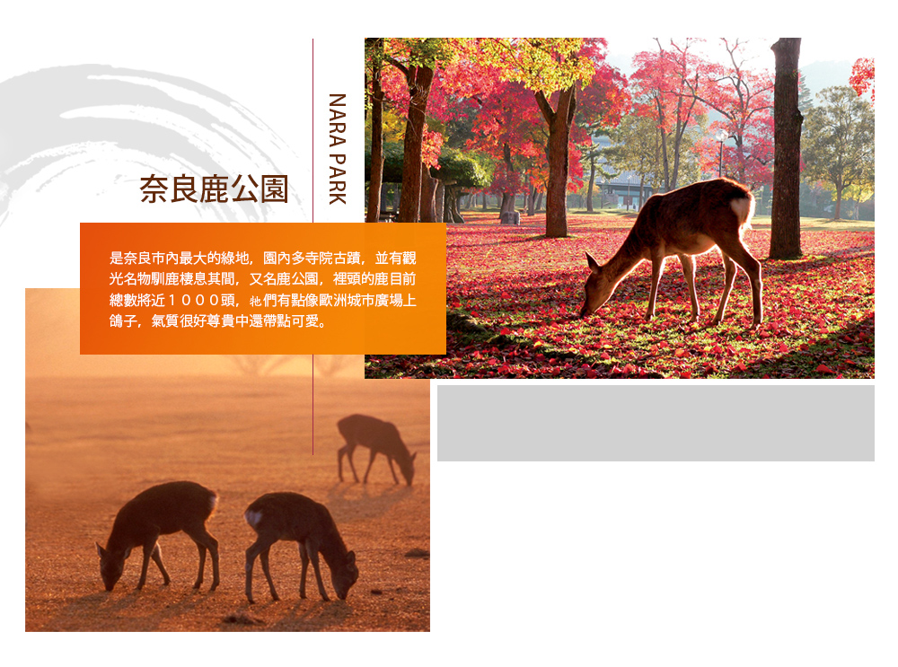 行程特色圖片